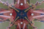 Centrum van het gewelf
<br/>
Gert-Jan Lobbes, 2016